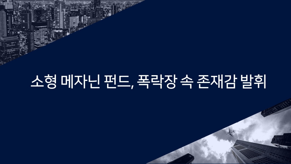 소형 메자닌 펀드, 폭락장 속 존재감 발휘